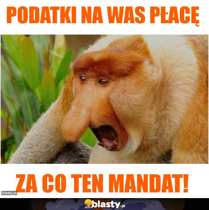 Podatki na was płacę