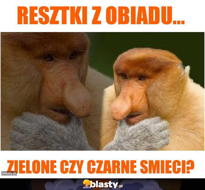 Resztki z obiadu...