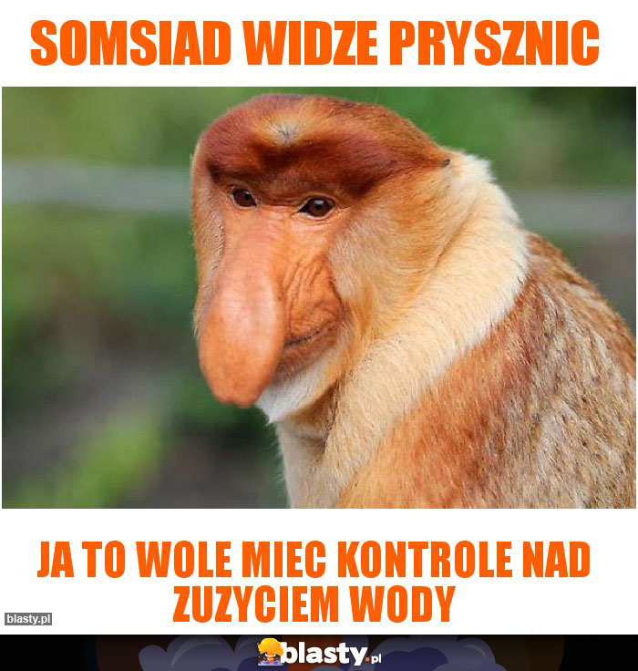 SOMSIAD WIDZE PRYSZNIC