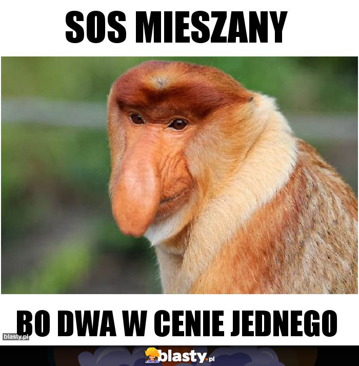 Sos mieszany