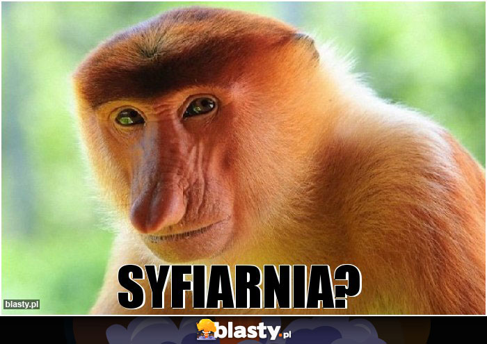 Syfiarnia?