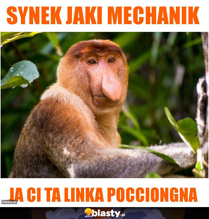 Synek jaki mechanik