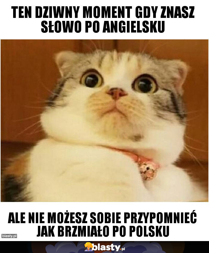 TEN DZIWNY MOMENT GDY ZNASZ SŁOWO PO ANGIELSKU