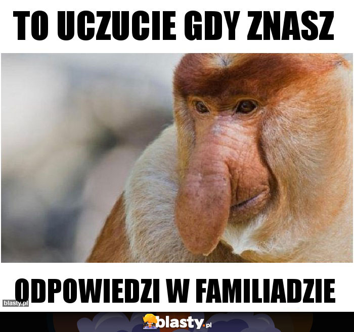 To uczucie gdy znasz