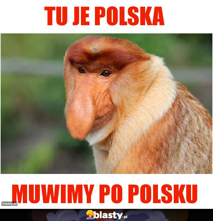 Tu Je Polska