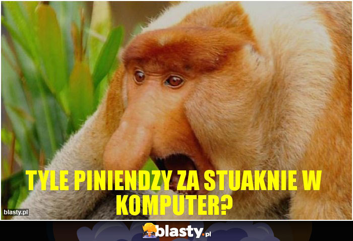 tyle piniendzy za stuaknie w komputer?