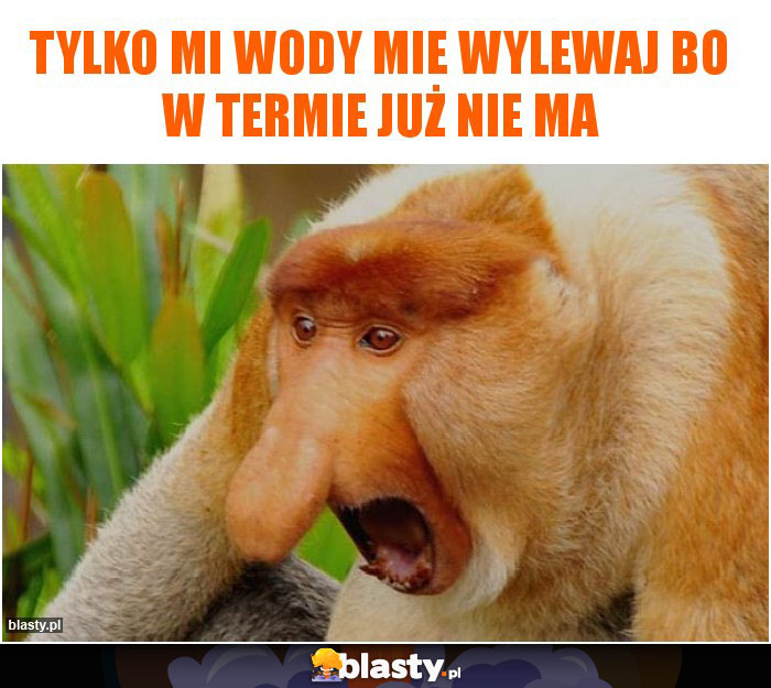 Tylko mi wody mie wylewaj bo w termie już nie ma