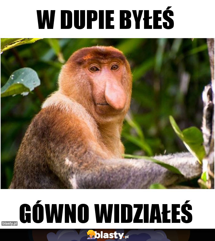 W dupie byłeś