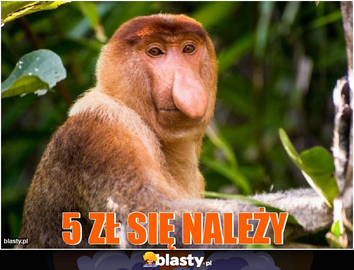 5 zł się należy