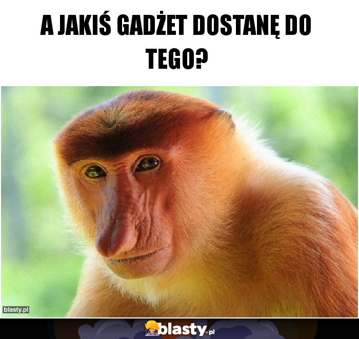 A jakiś gadżet dostanę do tego?