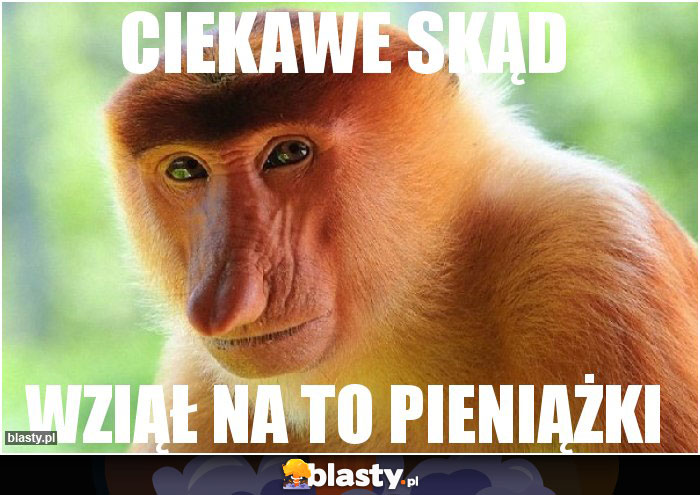 Ciekawe skąd