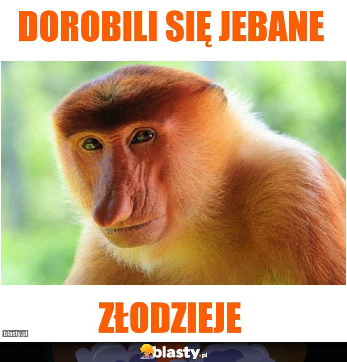 Dorobili się jebane