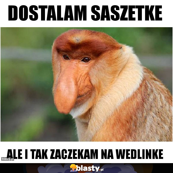 Dostalam saszetke