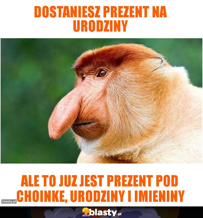 DOSTANIESZ PREZENT NA URODZINY