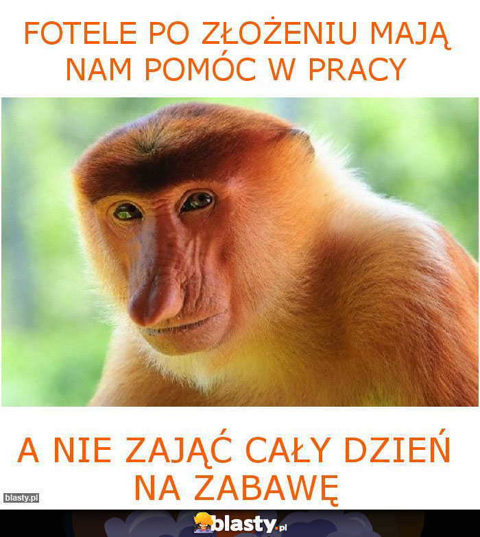 Fotele po złożeniu mają nam pomóc w pracy