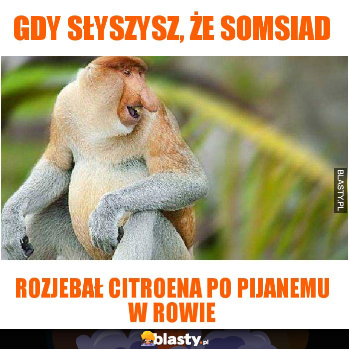 Gdy słyszysz, że somsiad