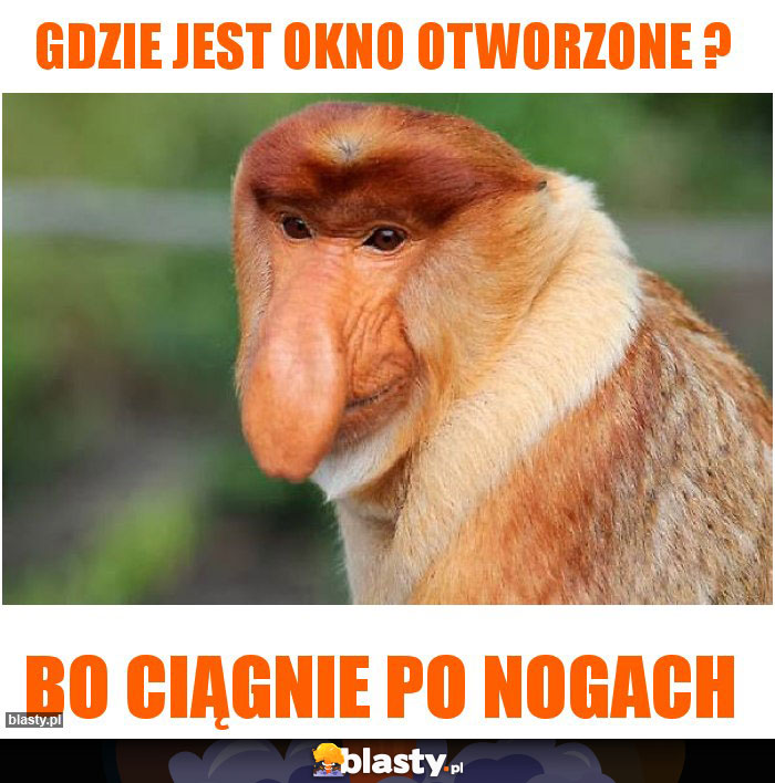 Gdzie jest okno otworzone ?