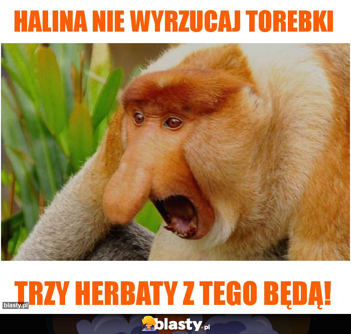 Halina nie wyrzucaj torebki