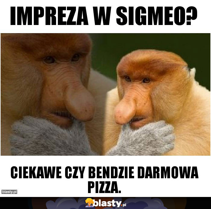 Impreza w Sigmeo?