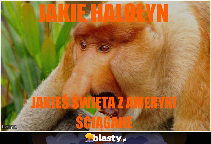 Jakie halołyn