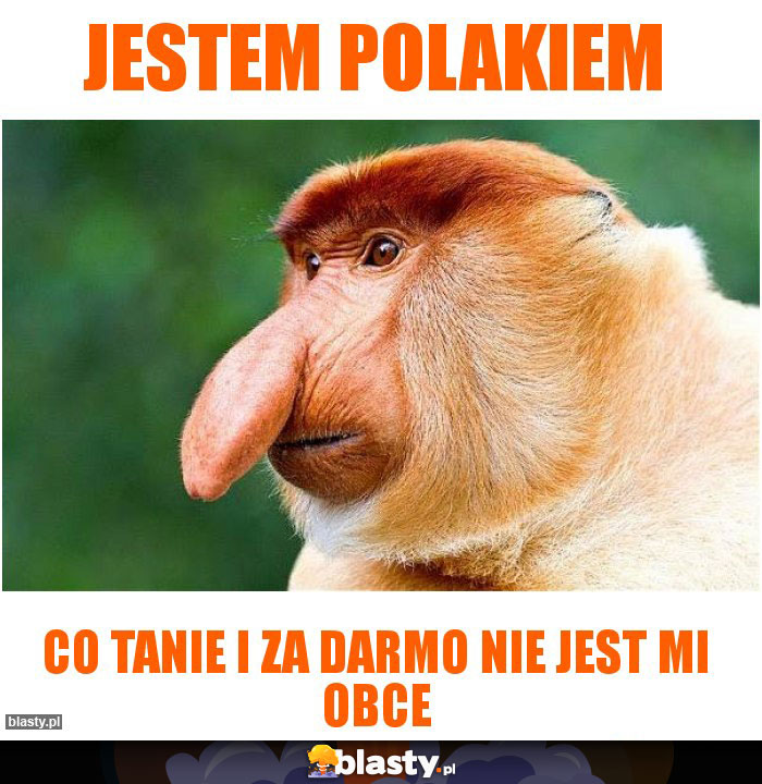 Jestem POLAKIEM