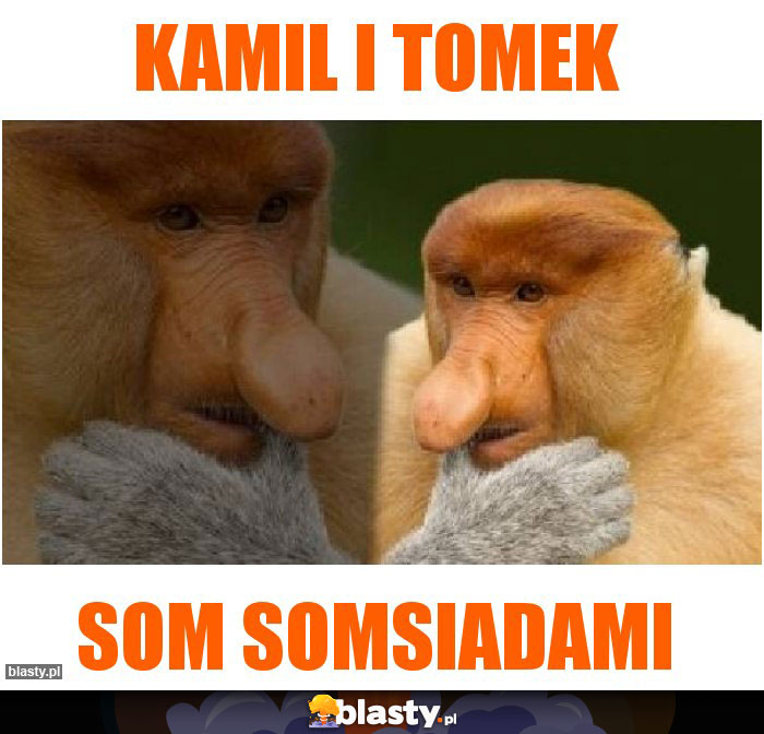 Kamil i tomek