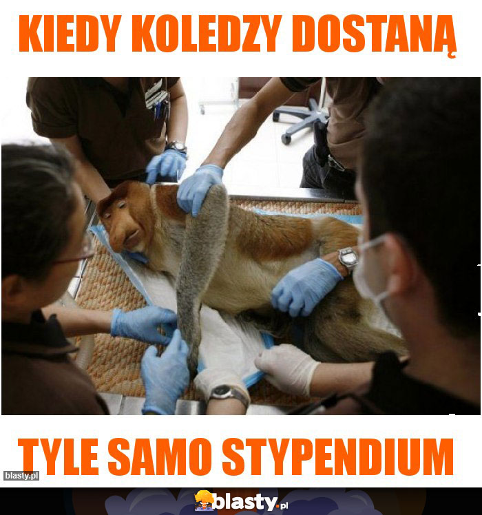 Kiedy koledzy dostaną