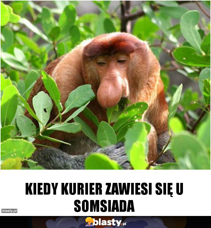 KIEDY KURIER ZAWIESI SIĘ U SOMSIADA