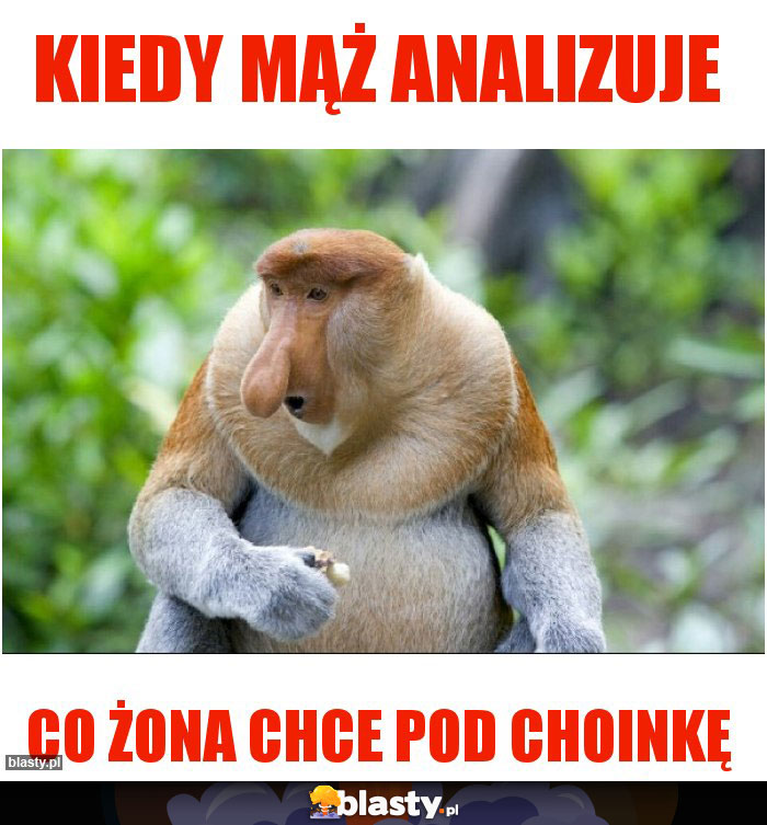 KIEDY MĄŻ ANALIZUJE