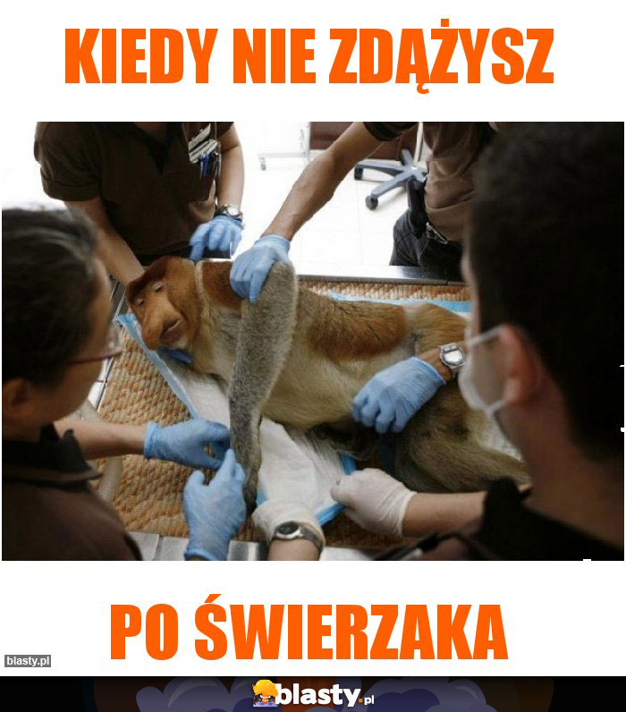 Kiedy nie zdążysz