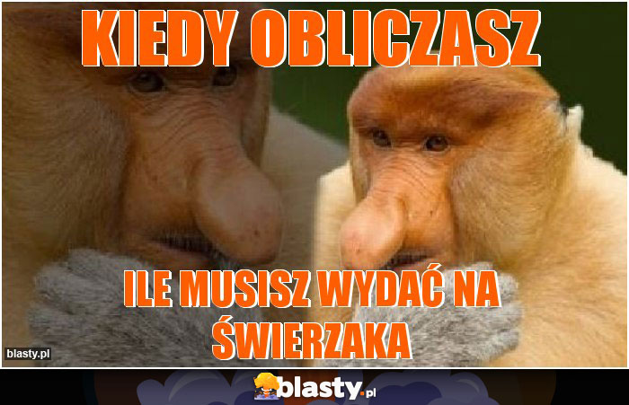 Kiedy obliczasz