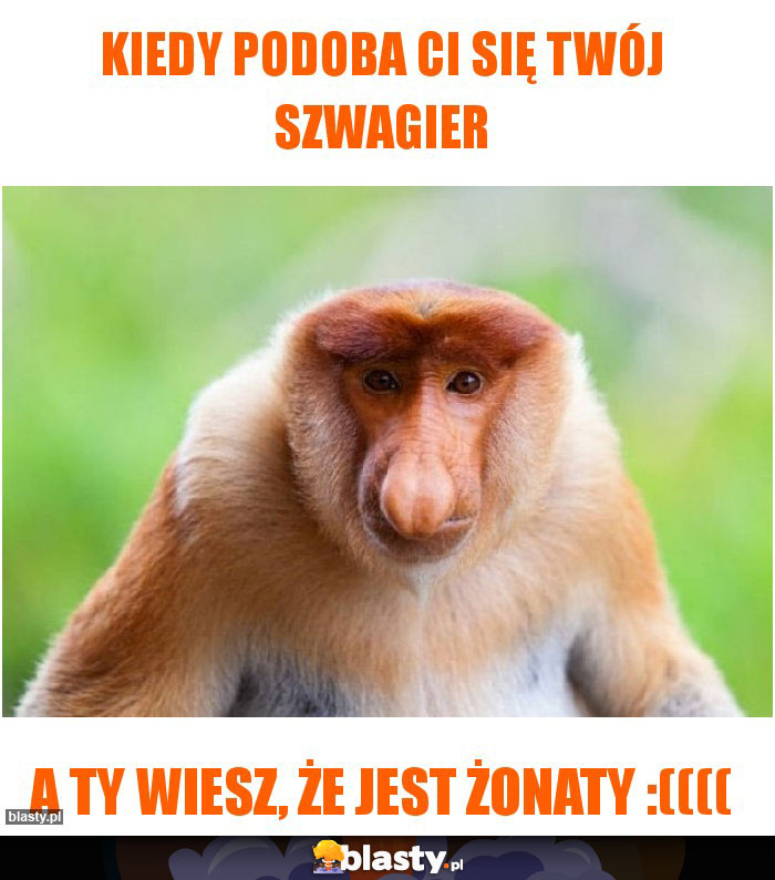 kiedy podoba ci się twój szwagier