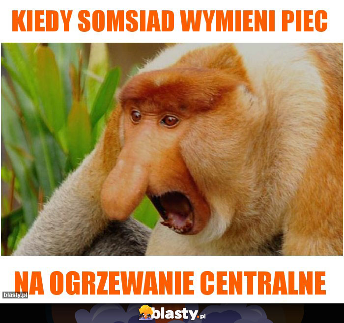 kiedy somsiad wymieni piec