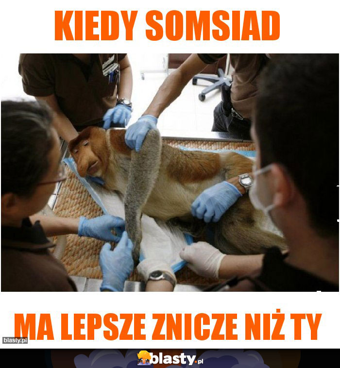 Kiedy somsiad