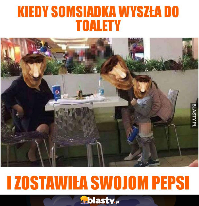 Kiedy somsiadka wyszła do toalety