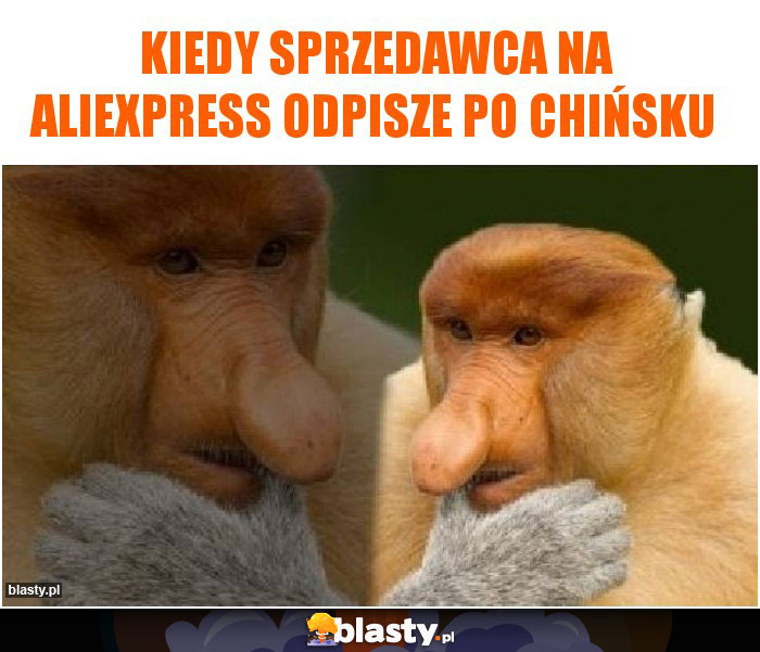 Kiedy sprzedawca na aliexpress odpisze po chińsku