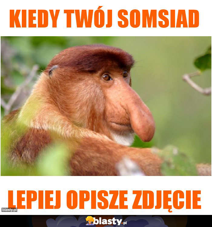 kiedy twój somsiad