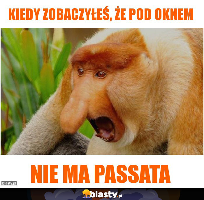 Kiedy zobaczyłeś, że pod oknem