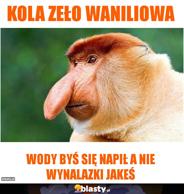 kola zeło waniliowa