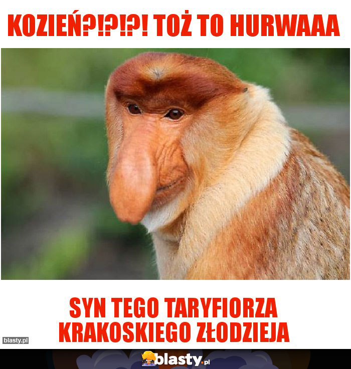 KOZIEŃ?!?!?! TOŻ TO HURWAAA