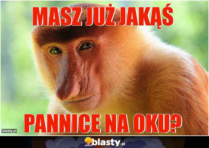 Masz już jakąś