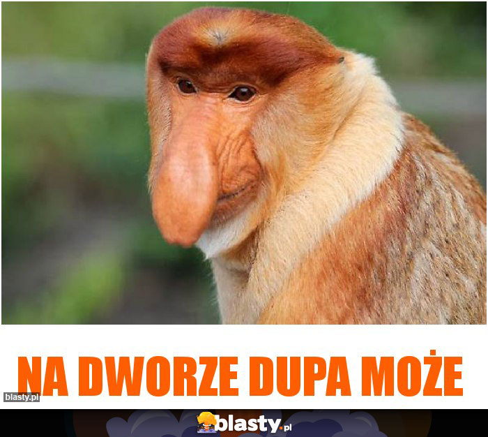 Na dworze dupa może