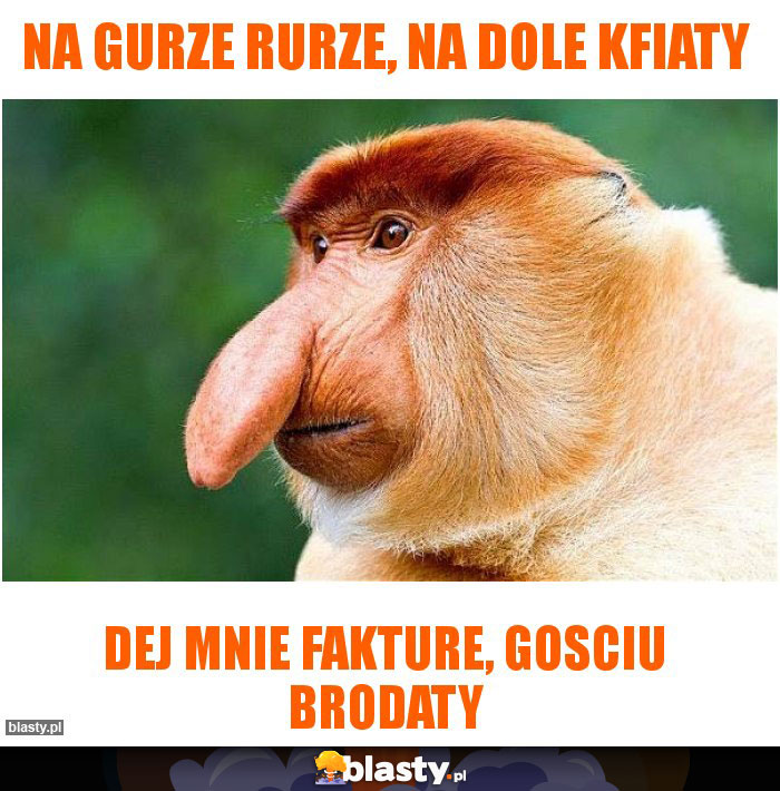 Na gurze rurze, na dole kfiaty