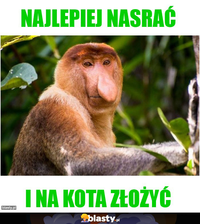 Najlepiej nasrać