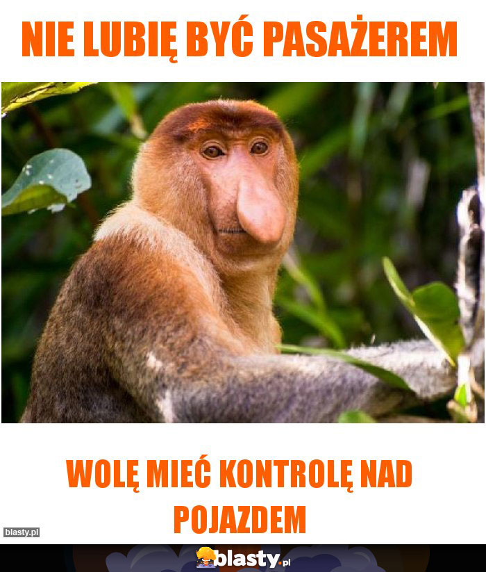 Nie lubię być pasażerem