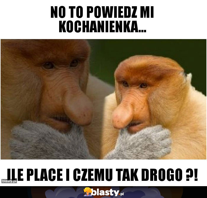 No to powiedz mi kochanienka...