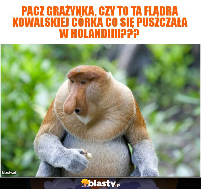 pacz Grażynka, czy to ta flądra Kowalskiej córka co się puszczała w Holandii!!???