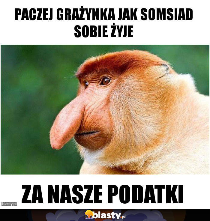 Paczej grażynka jak somsiad sobie żyje