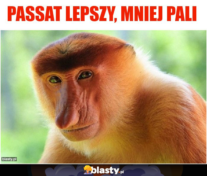 Passat lepszy, mniej pali