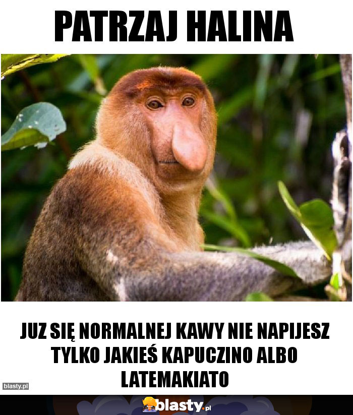 Patrzaj Halina